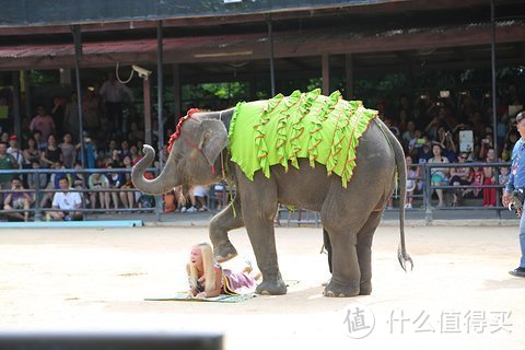 为啥泰国东芭乐园如此出名，可以说是去泰国旅游必打卡的地方