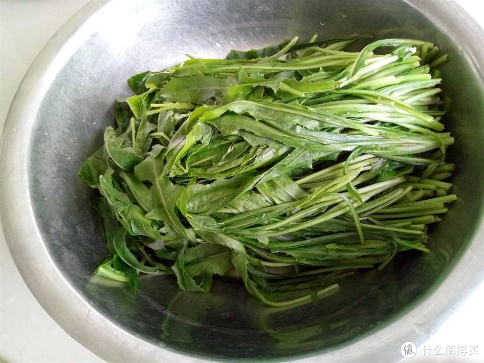 道边多野菜，小摘助晨烹——那些古诗中的野菜你都吃过吗