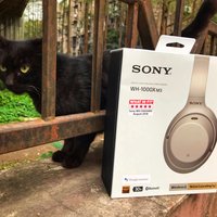 索尼 MDR-1000X 耳机外观展示(搭扣|收纳包|耳罩|线材|飞机头)