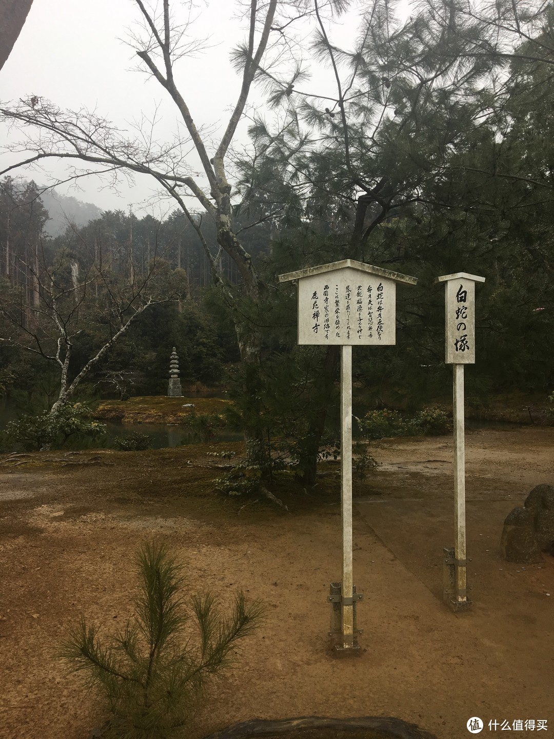 大阪五日自由之行（一）