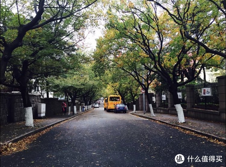 特别喜欢雨中的八大关