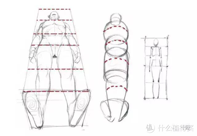 怎么把人体透视画好？新手应该怎么去练习？