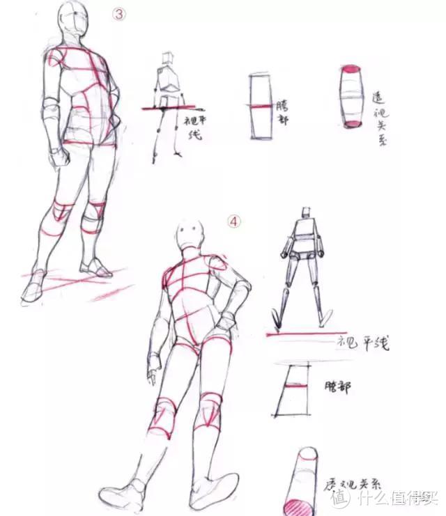 怎麼把人體透視畫好?新手應該怎麼去練習?