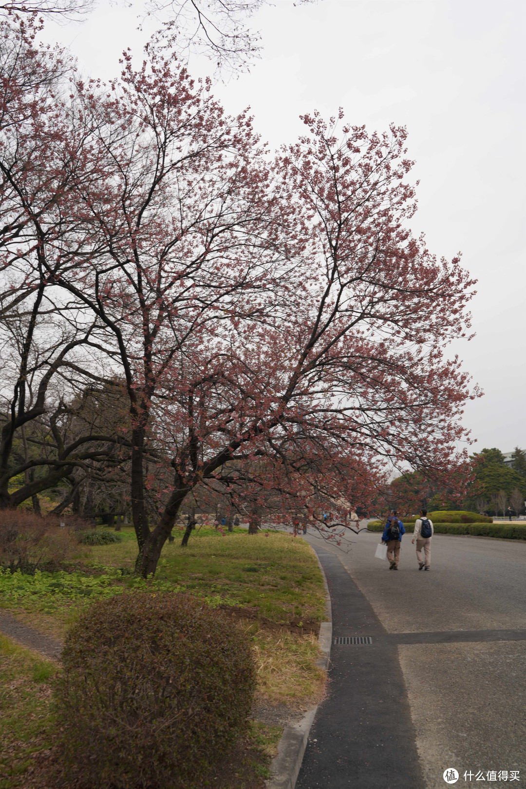 三月初访霓虹国—两个人的日本“逛吃买”之旅（最终章）