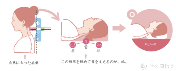 仰睡示意图