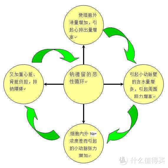 高盐已成中国首要饮食致死风险——如何正确地吃盐？