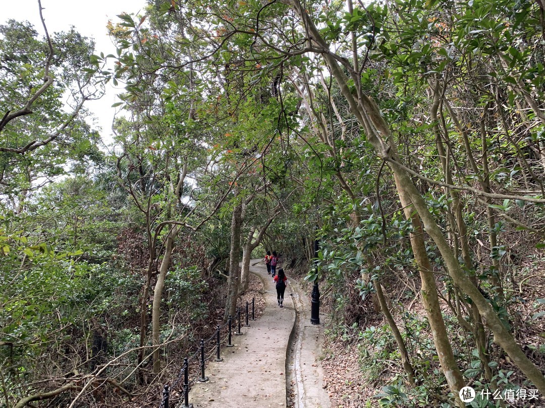 19春节去哪里 深港珠澳走一走 篇三 太平山&港大