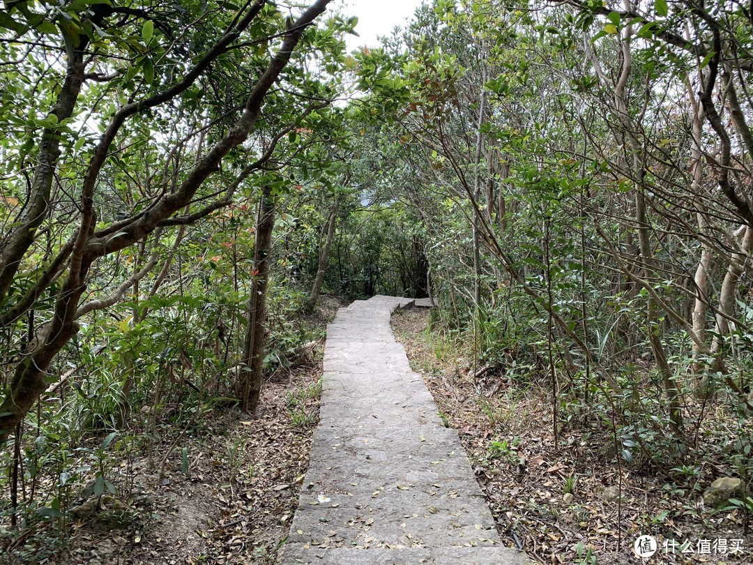 19春节去哪里 深港珠澳走一走 篇三 太平山&港大