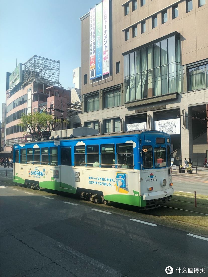 樱花树、飞机、甲子园——四月日本独行记