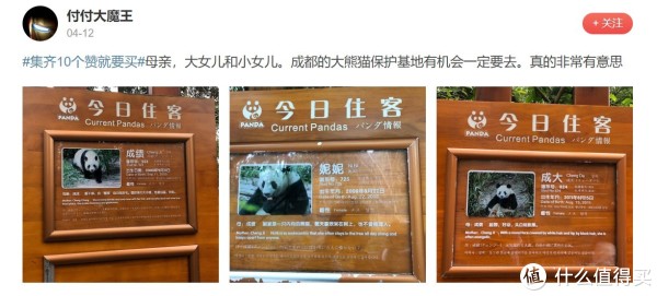 社区日报20190414期:你的KTV保留曲目是哪首?话筒交给你来说!