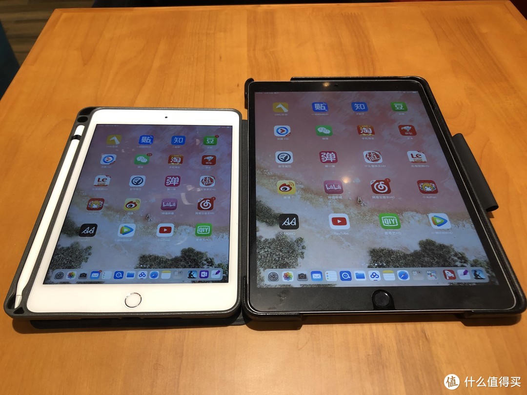 当iPad mini 5遇上iPad pro 10.5，一大一小手牵手