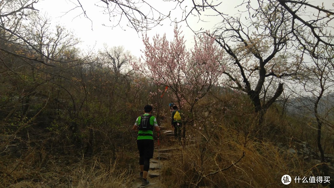 流水记录2019济南越野挑战赛50KM