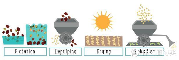 作为一名咖啡新手，如何从处理法去判断自己需要的咖啡口味