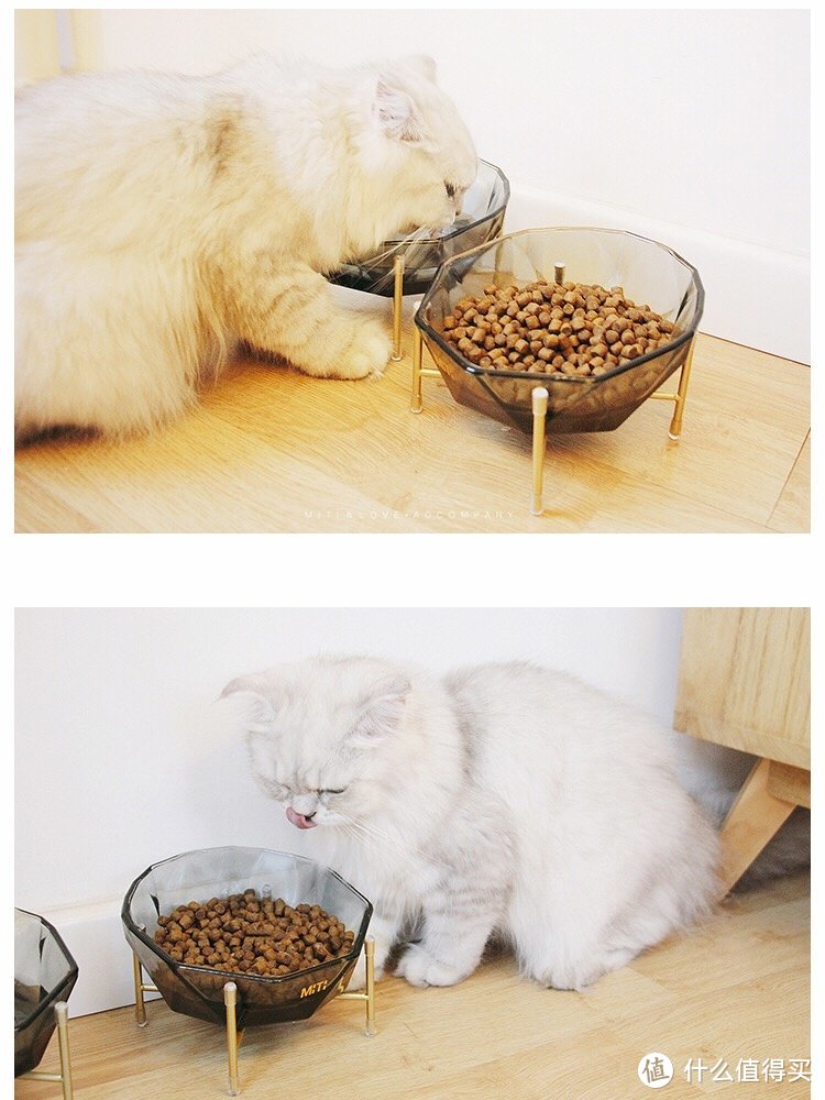 6款颜值炸裂的猫碗推荐，让主子顿顿吃出仪式感！