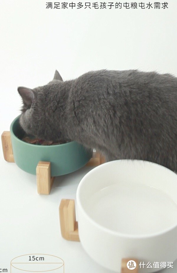 6款颜值炸裂的猫碗推荐，让主子顿顿吃出仪式感！