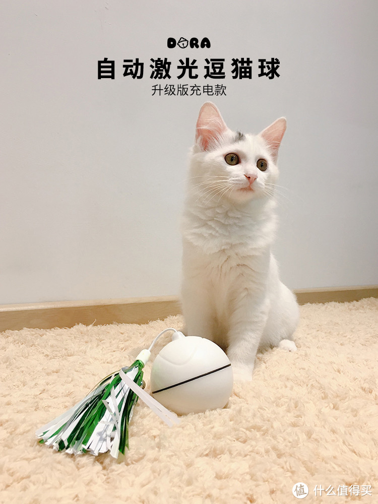 🐈8款电动猫玩具剁手指南 ⭐️不花冤枉钱⭐️