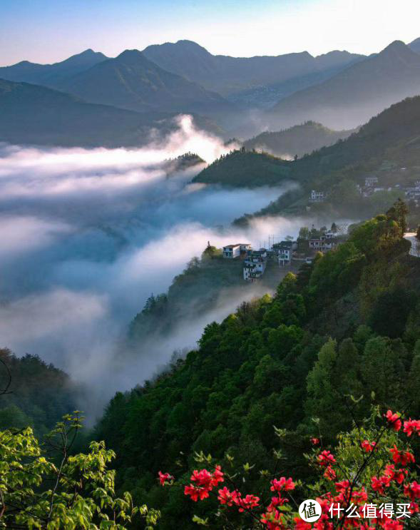 茶旅产业助力乡村振兴 首届黄山茶园坪革命老区茶乡开园节圆满举行