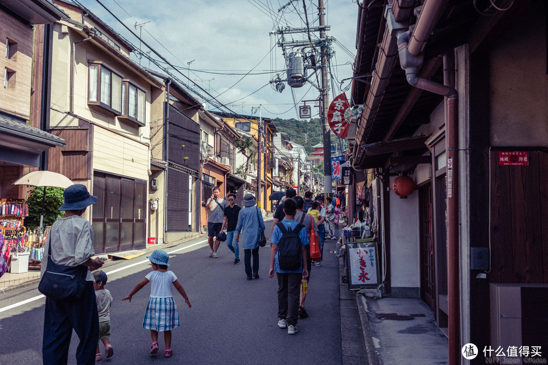 再访京都，稻荷山与花之绘姿