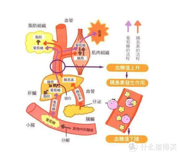 “中午不睡，下午崩溃”，午饭后老犯困怎么办？