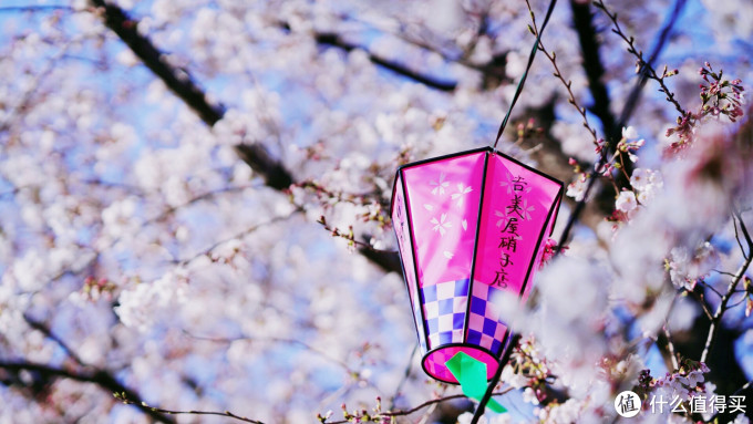 升龙道赏樱美食之旅篇二 名古屋赏樱 岩仓五条川和名古屋城 及买买买攻略 国外自由行 什么值得买