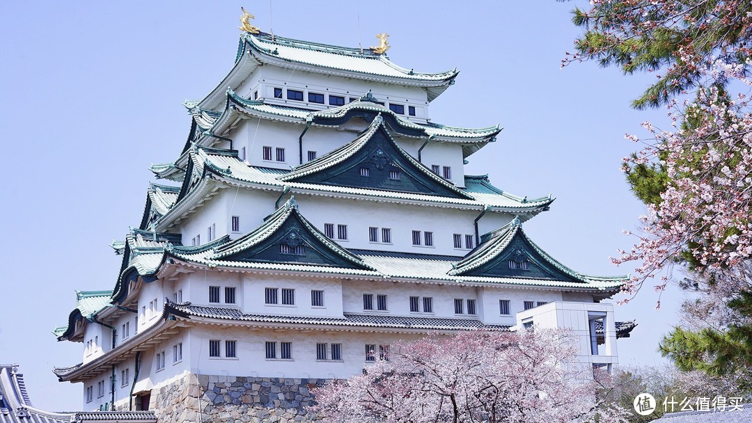 升龙道赏樱美食之旅篇二 名古屋赏樱 岩仓五条川和名古屋城 及买买买攻略 国外自由行 什么值得买