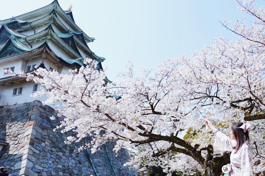 名古屋赏樱（岩仓五条川和名古屋城）及买买买攻略