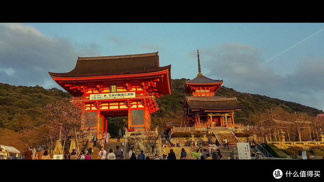 再访京都，稻荷山与花之绘姿