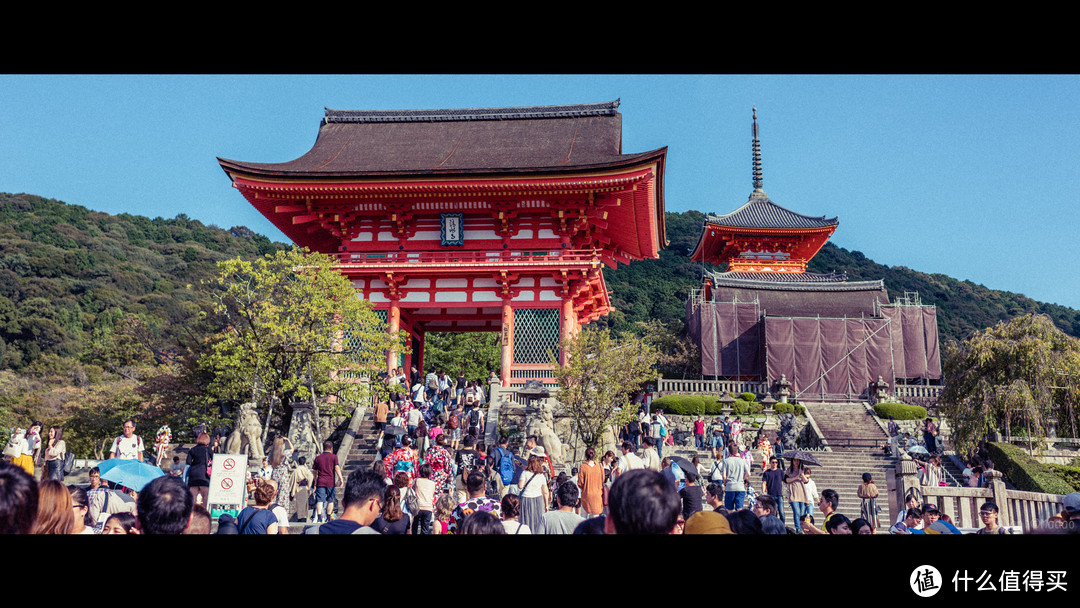 再访京都，稻荷山与花之绘姿