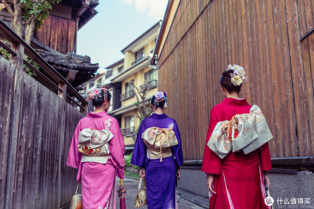 再访京都，稻荷山与花之绘姿