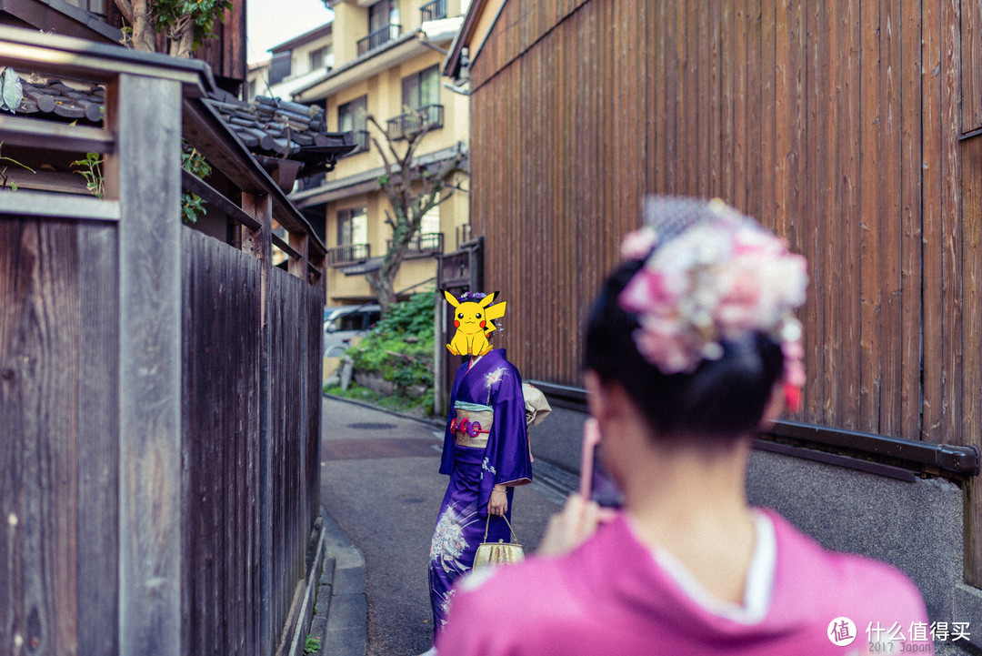 再访京都，稻荷山与花之绘姿