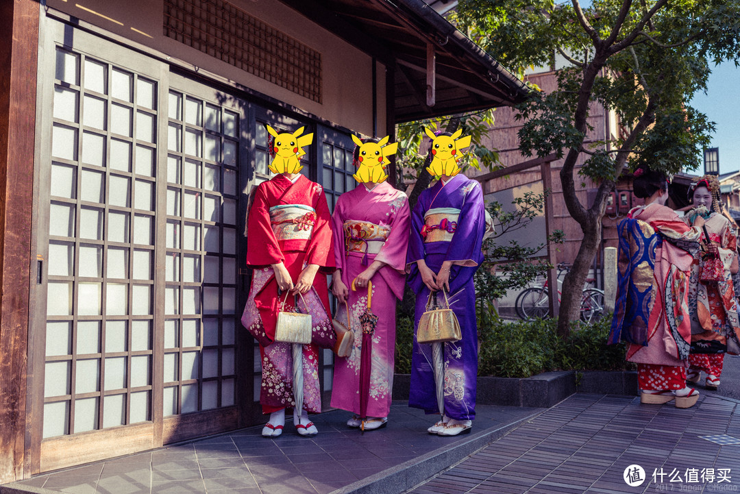 再访京都，稻荷山与花之绘姿