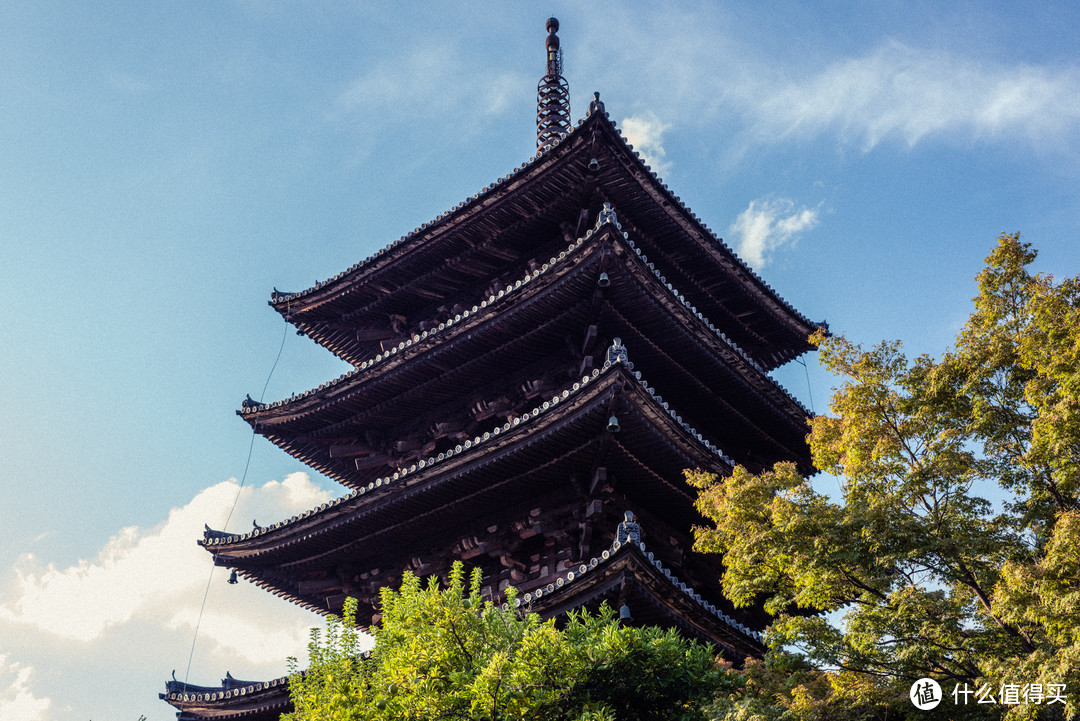 再访京都，稻荷山与花之绘姿