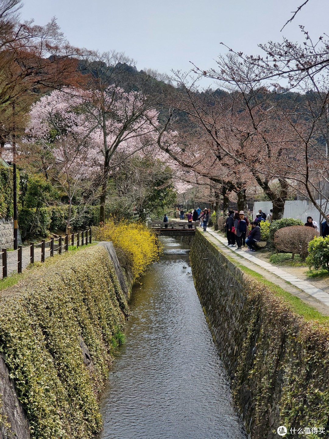 樱花季日本游（大阪一路玩到东京）——游侠客跟团体验