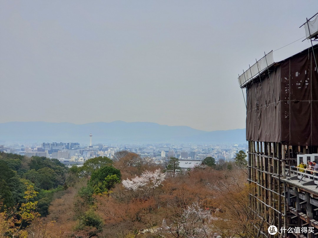 樱花季日本游（大阪一路玩到东京）——游侠客跟团体验