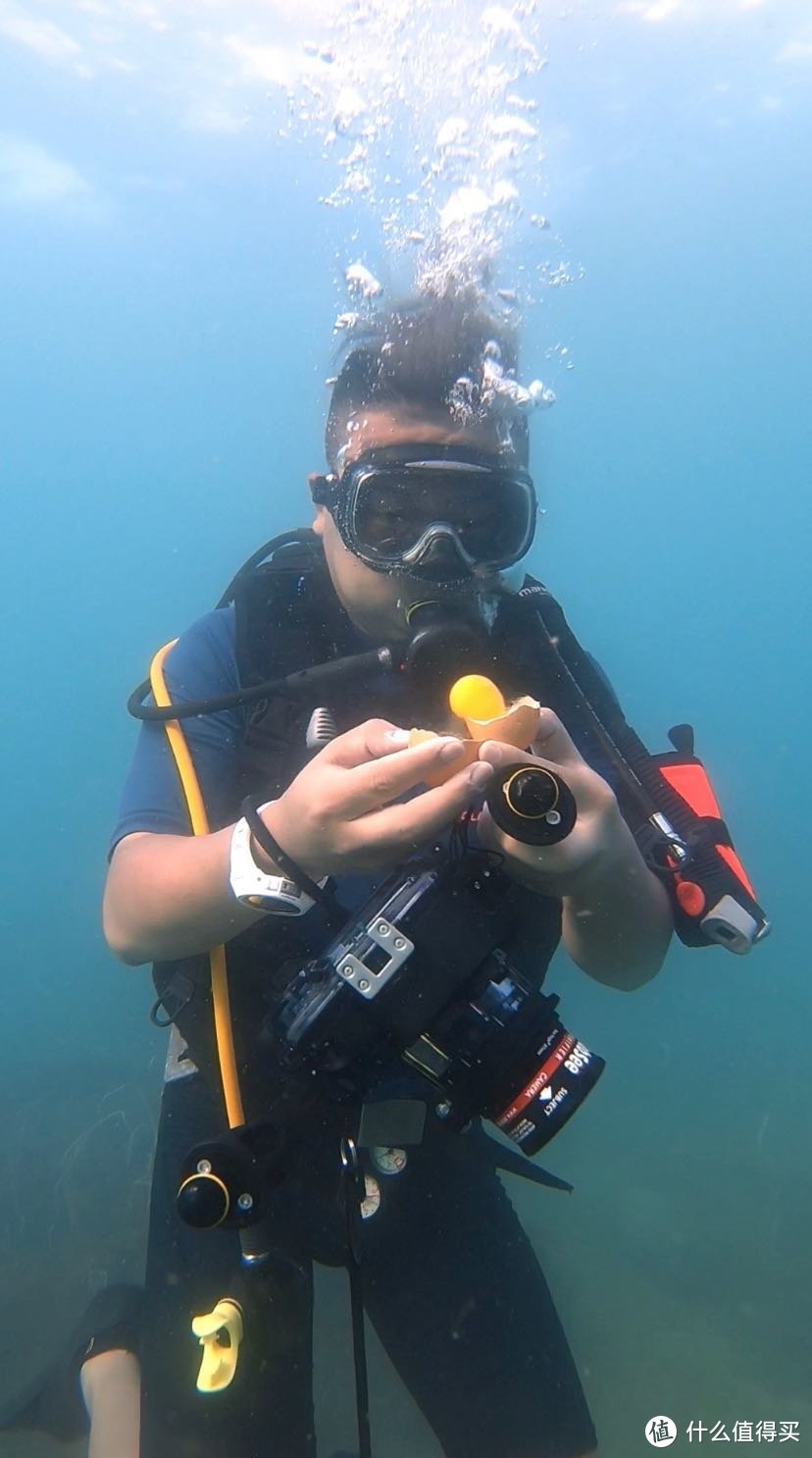 在东南亚海岛玩怎么拍水下照？水下摄影入门教程让你半小时制霸朋友圈！