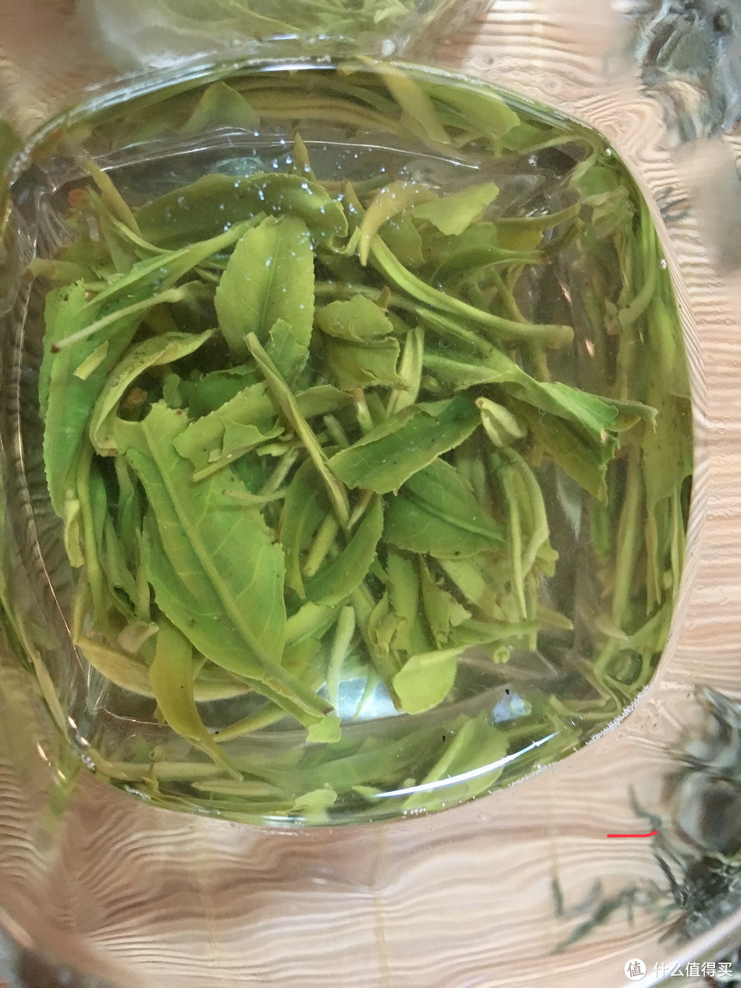 茶庄少东家带你品新茶：又是一年新茶季，江南新茶评测！硬货对比