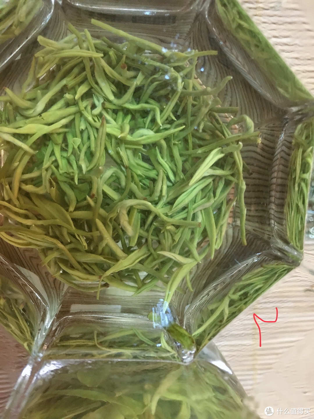 茶庄少东家带你品新茶：又是一年新茶季，江南新茶评测！硬货对比