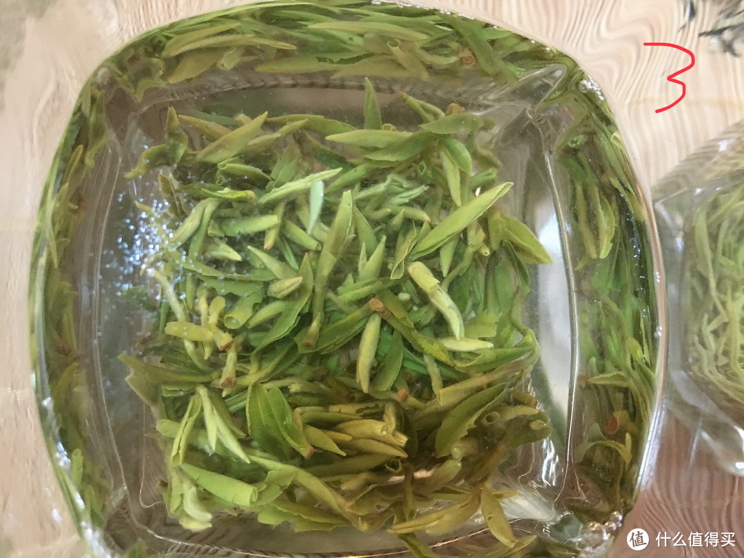 茶庄少东家带你品新茶：又是一年新茶季，江南新茶评测！硬货对比