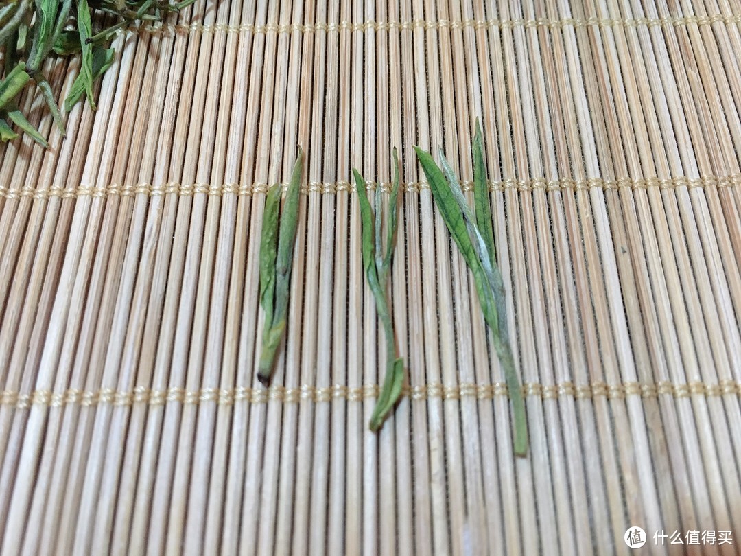 茶庄少东家带你品新茶：又是一年新茶季，江南新茶评测！硬货对比