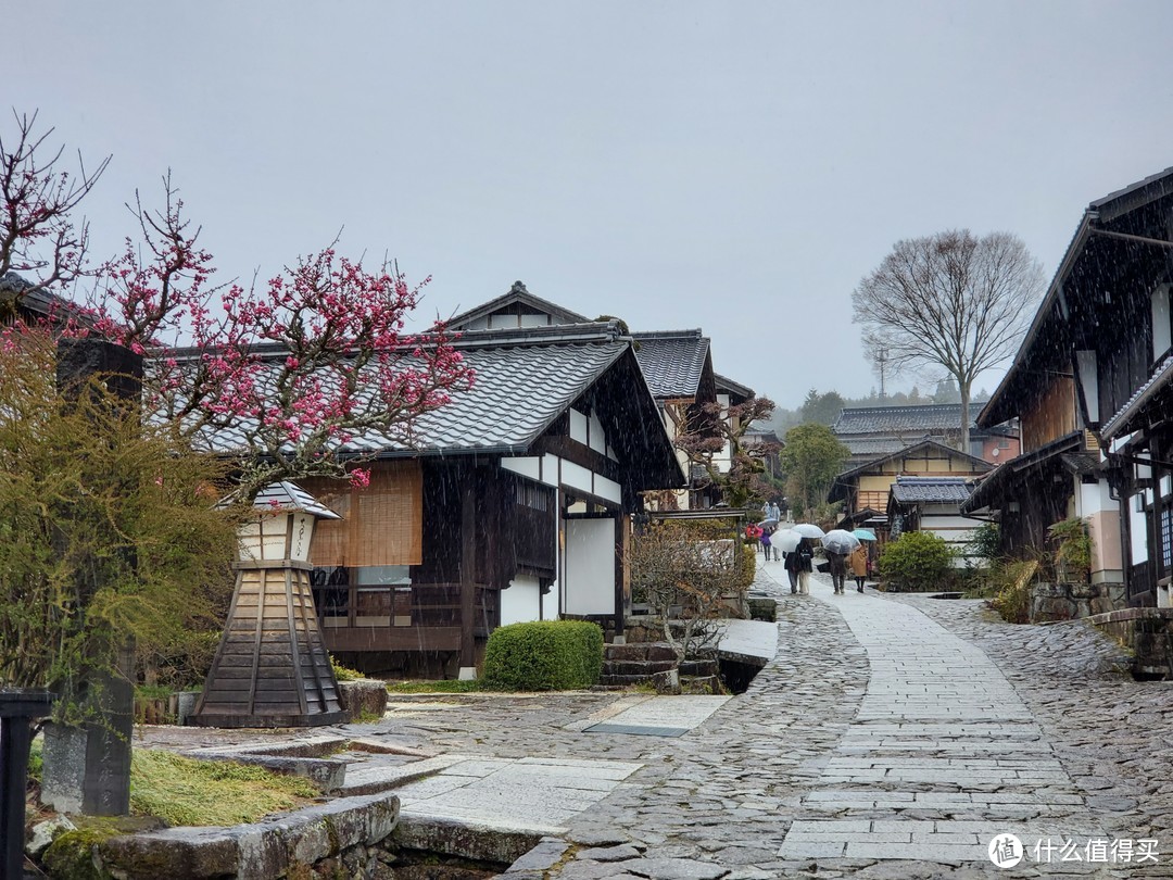 樱花季日本游（大阪一路玩到东京）——游侠客跟团体验