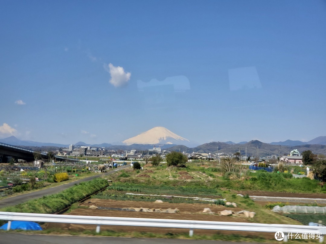 樱花季日本游（大阪一路玩到东京）——游侠客跟团体验