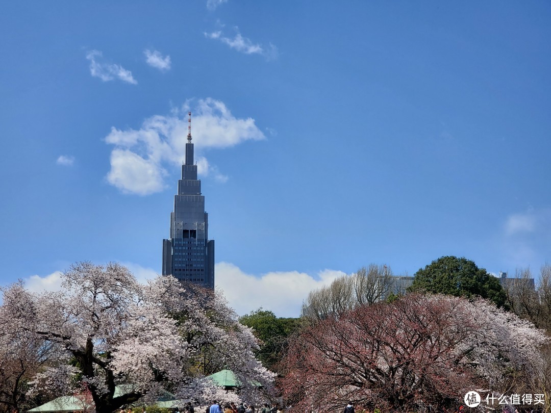 樱花季日本游（大阪一路玩到东京）——游侠客跟团体验