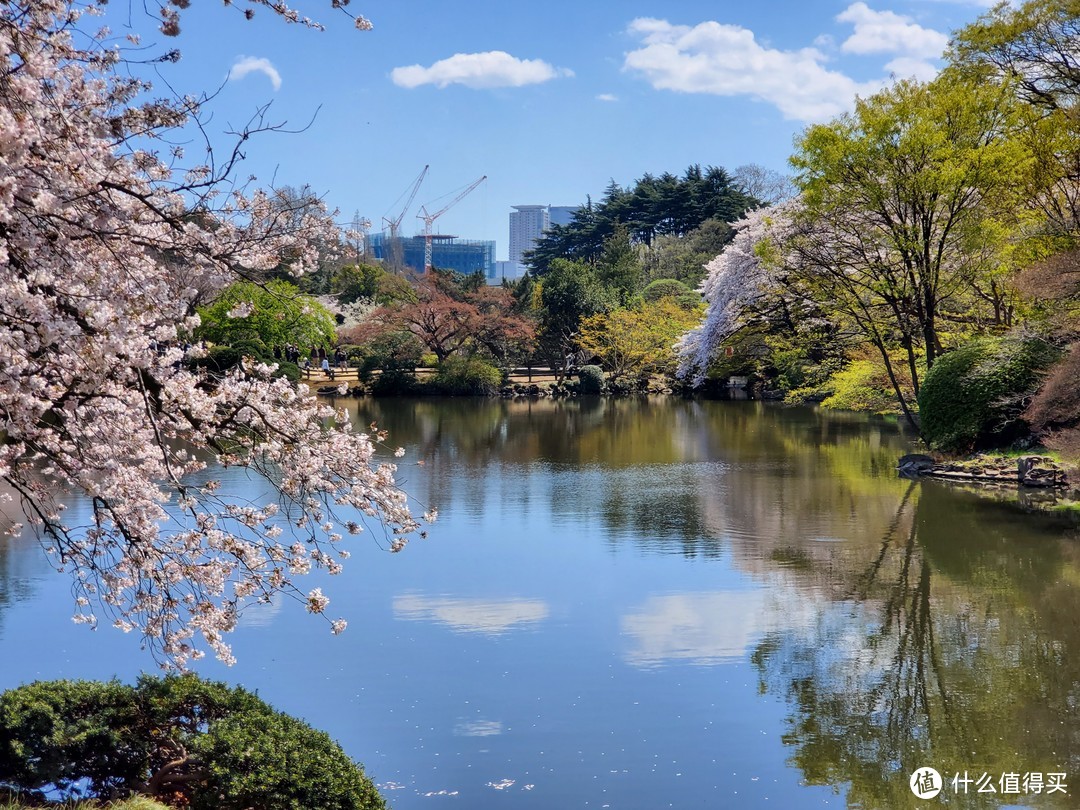 樱花季日本游（大阪一路玩到东京）——游侠客跟团体验