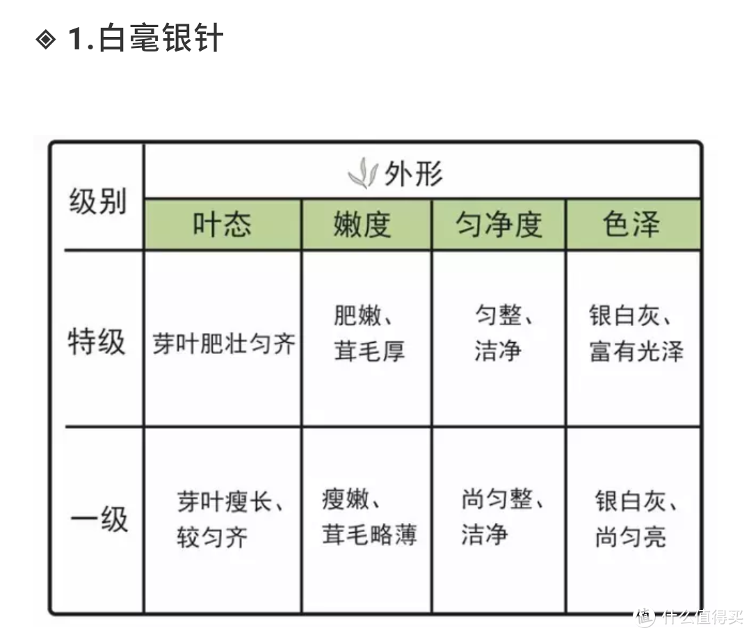 谷雨时节，闲谈白毫银针