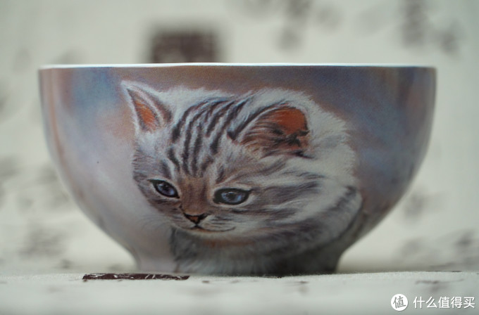 猫控的自我修养:被萌化了!这些年我写过的那些猫
