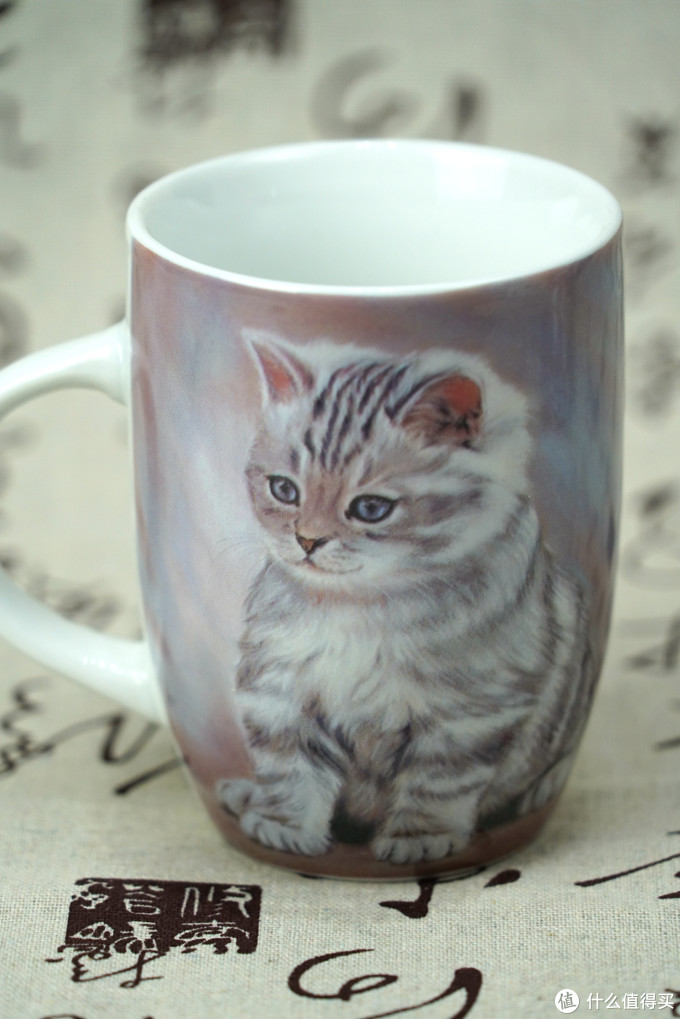 猫控的自我修养:被萌化了!这些年我写过的那些猫
