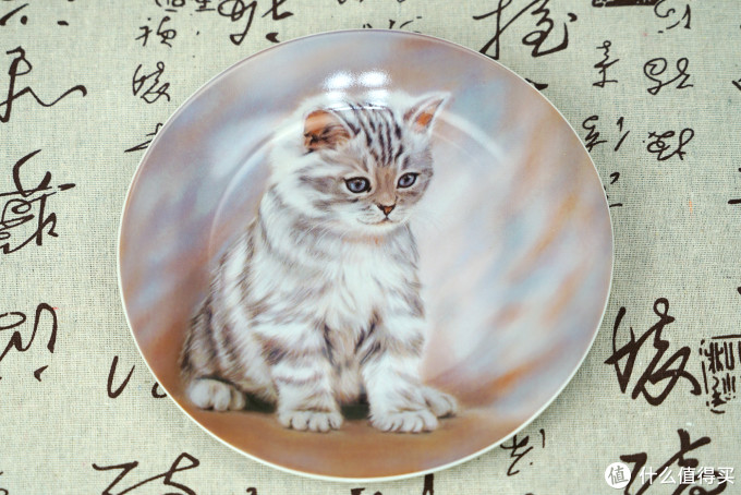 猫控的自我修养:被萌化了!这些年我写过的那些猫