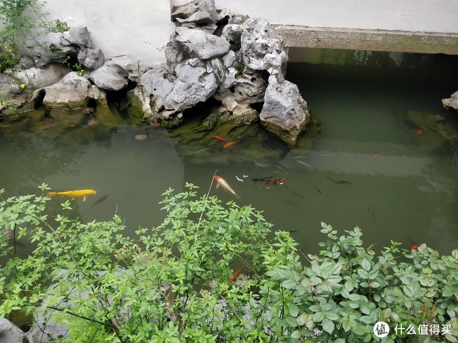 一城一故事一江潮：海宁盐官古城开元观堂跟芳草地青青房车基地体验