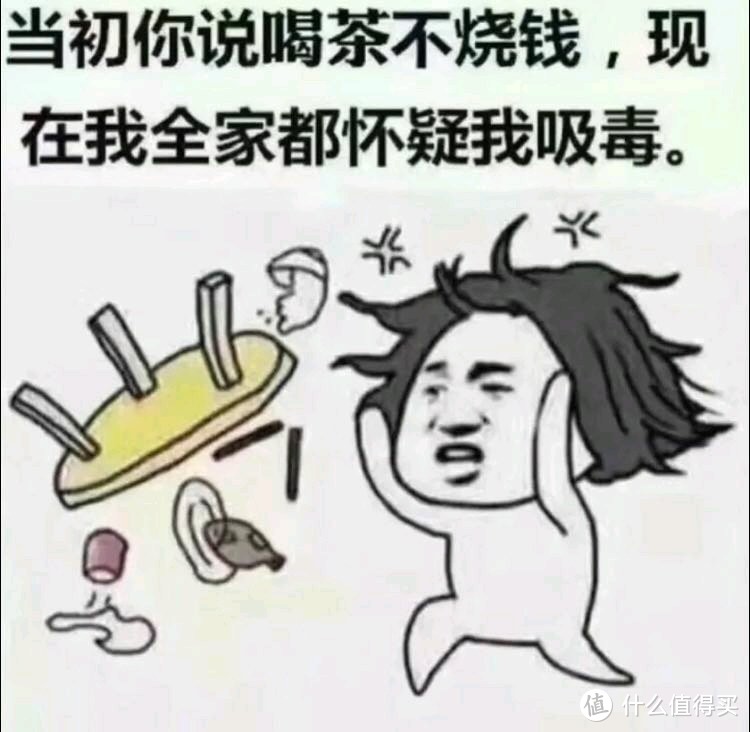 福鼎白茶  白豪银针