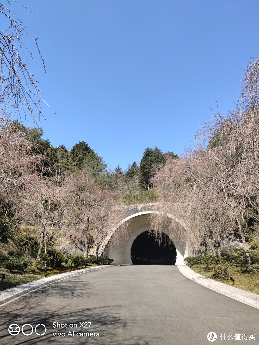 忽逢桃花林，夹岸数百步，中无杂树，芳草鲜美，落英缤纷。